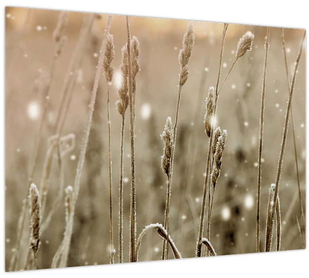 Tablou - Pajiște armonioasă (70x50 cm)