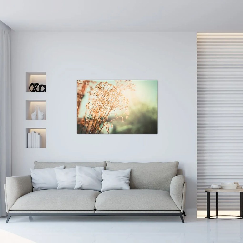 Tablou - Plante după ploaie (90x60 cm)