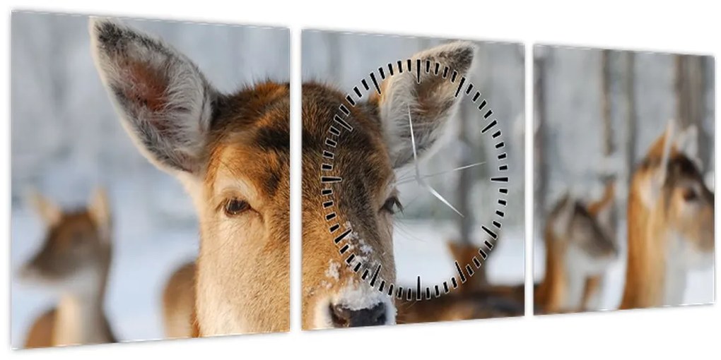 Tablou - Cerbi (cu ceas) (90x30 cm)