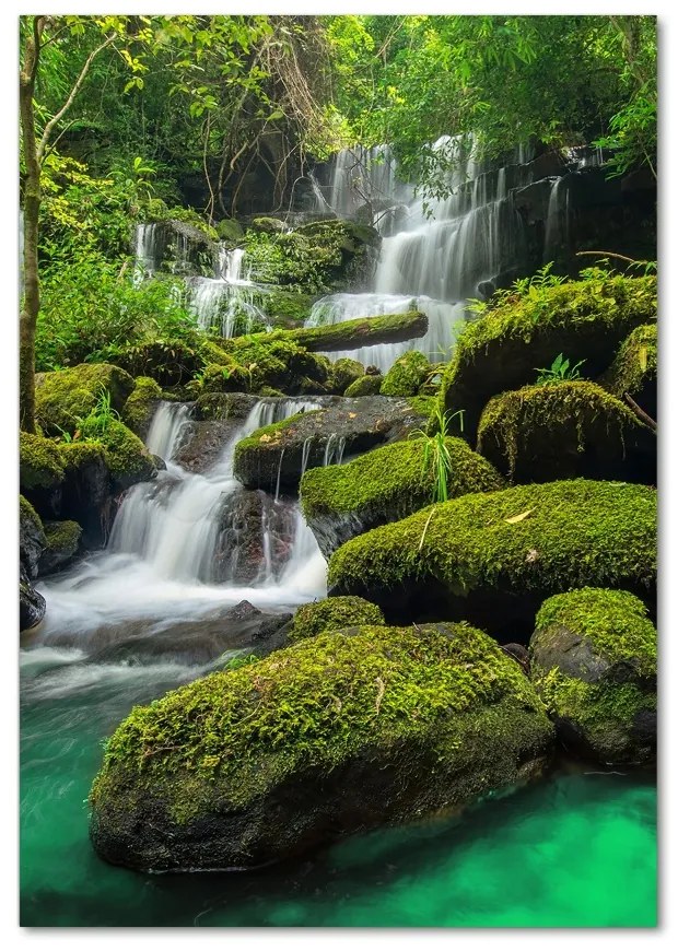 Imagine de sticlă Cascada din junglă
