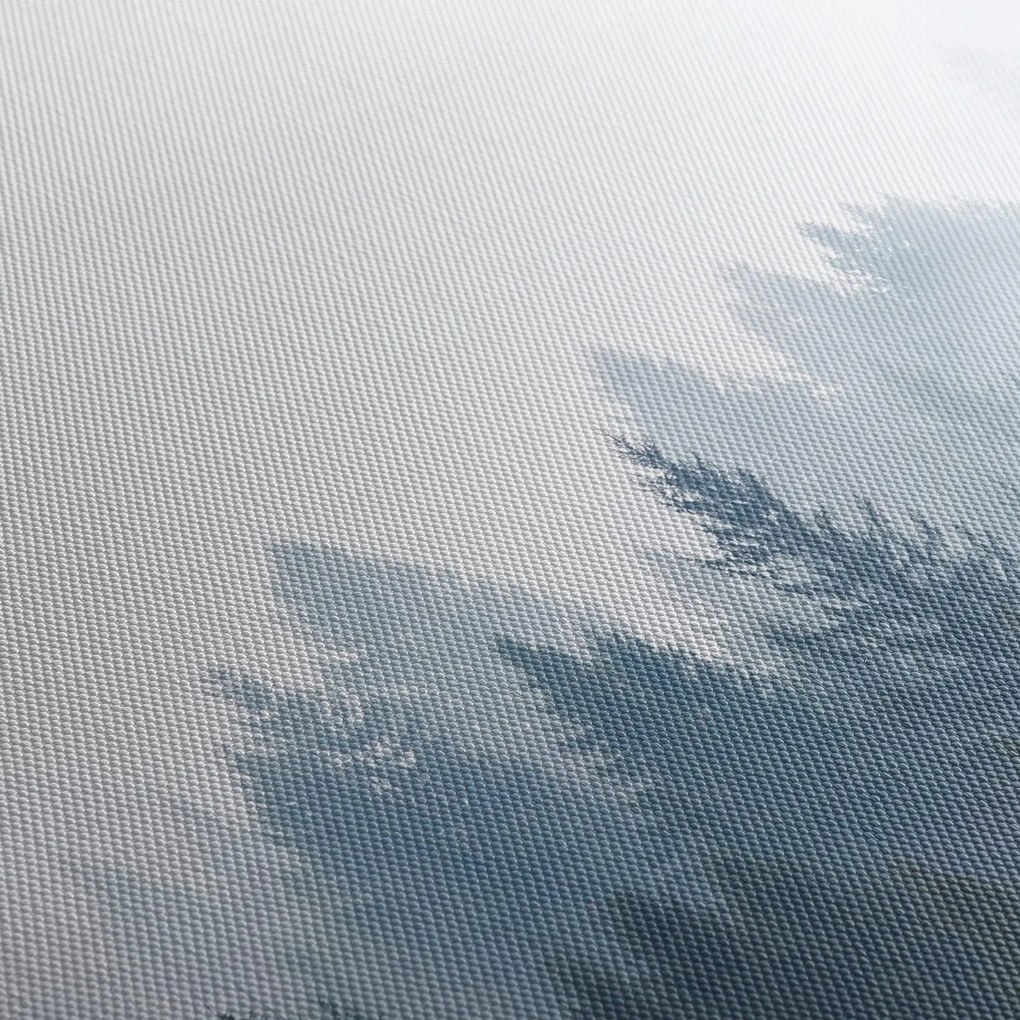 Tablou - Pădure cețoasă (90x60 cm)