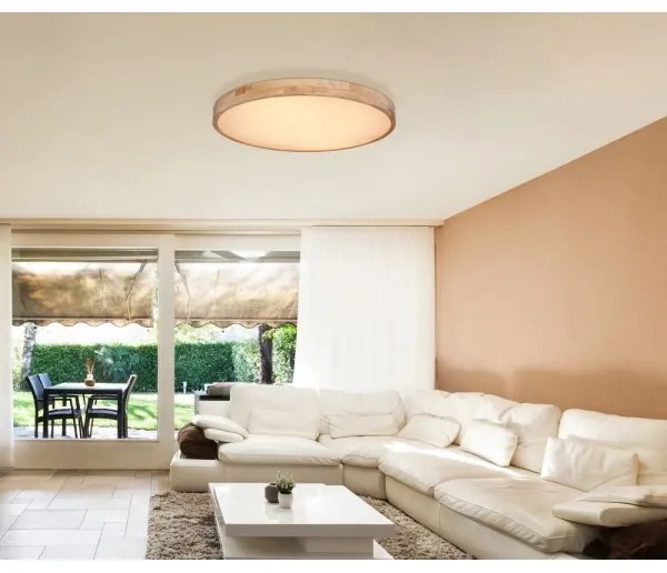 Globo 41745-60 - Plafonieră LED RAINER dimabilă LED/60W/230V cu DO