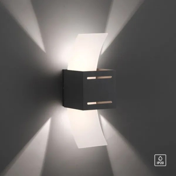 Aplică Paul Neuhaus 9007-13 ORMA 1xG9/40W/230V negru