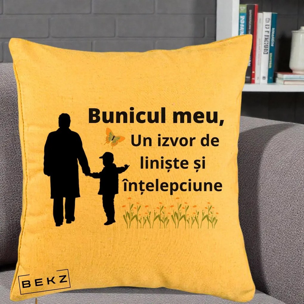 Cadou pentru Bunic - Perna Personalizata Bunicul Meu Izvor de Liniste cu Fluture si Baietel, 40x40 cm, Galben, Husa Detasabila, Perna Inclusa, BEKZ®