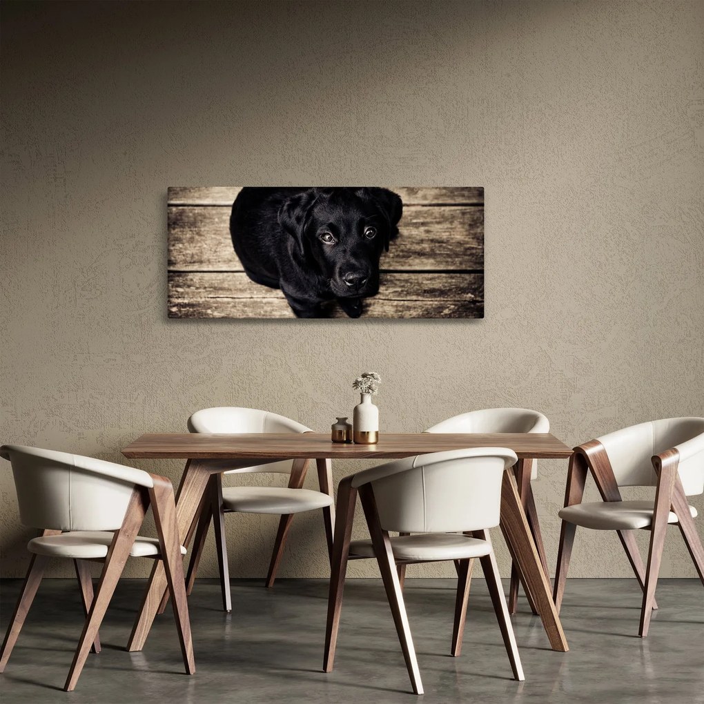 Tablou cu cățeluș negru (120x50 cm)