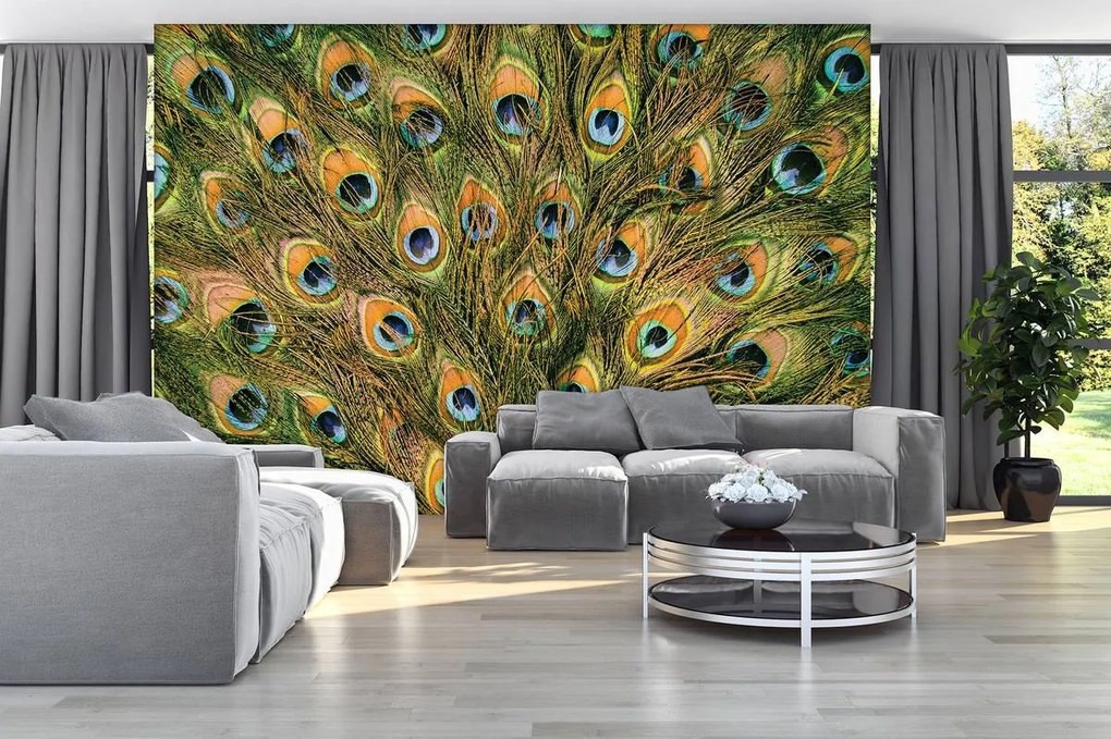 Fototapet - Pană de păun (152,5x104 cm)