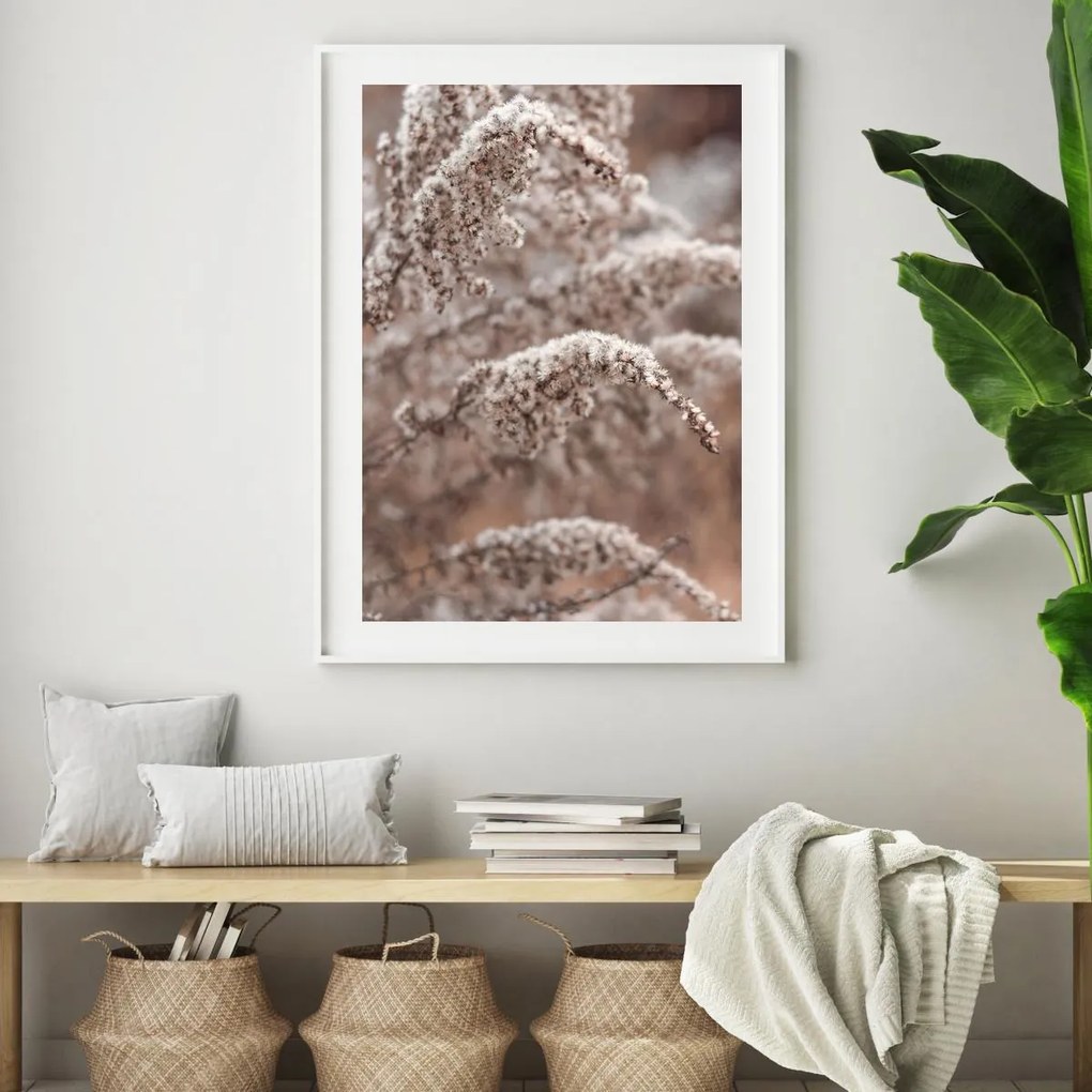 Poster - Florile plantei (A4)