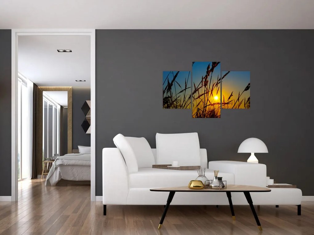 Tablou - Apus de soare pe pajiște (90x60 cm)