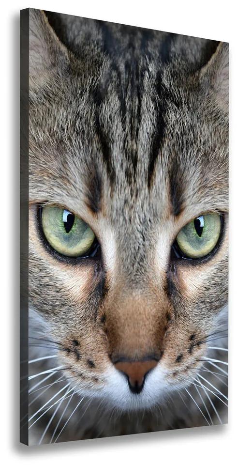 Imprimare tablou canvas Ochi de pisica
