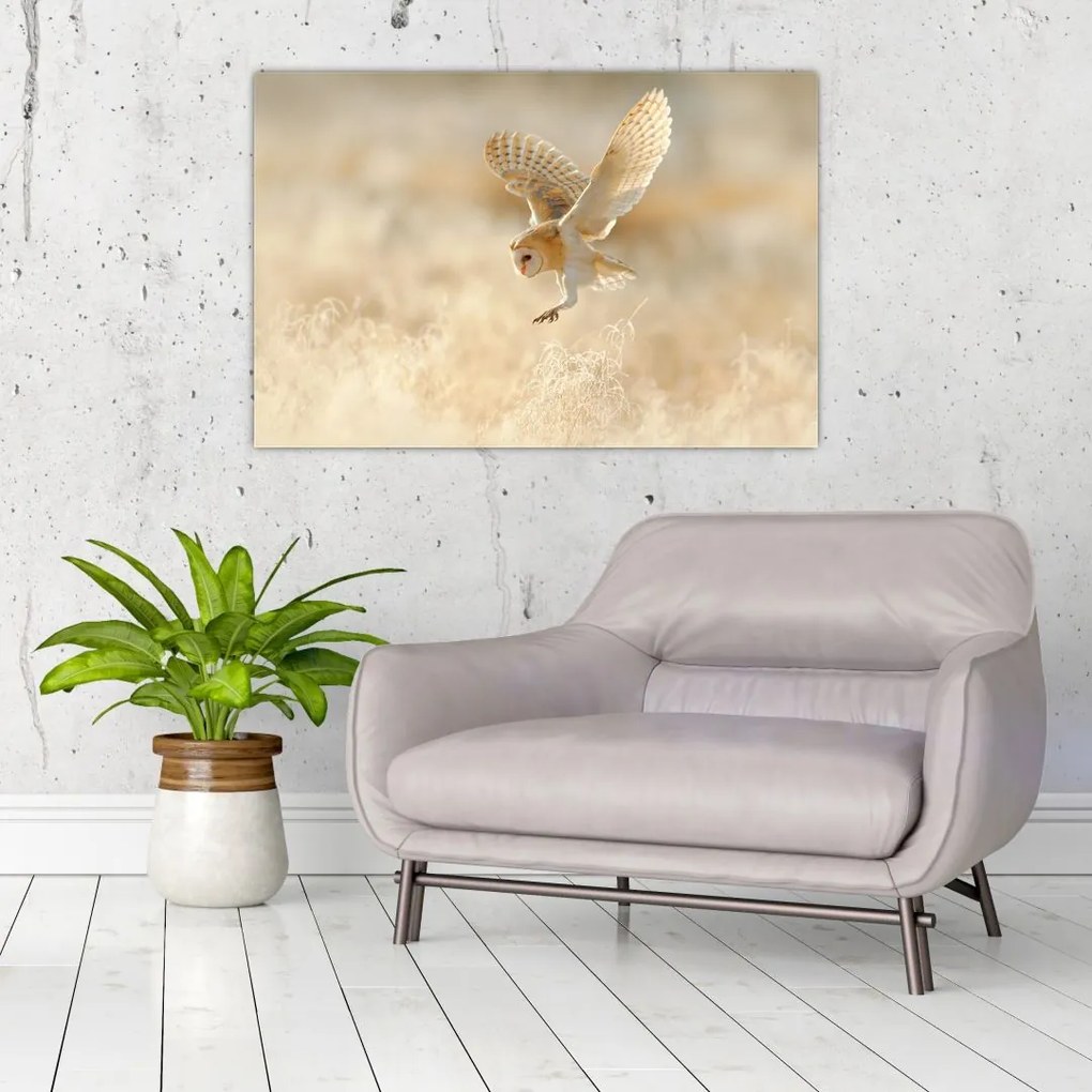 Tablou - Bufnița roșie (90x60 cm)