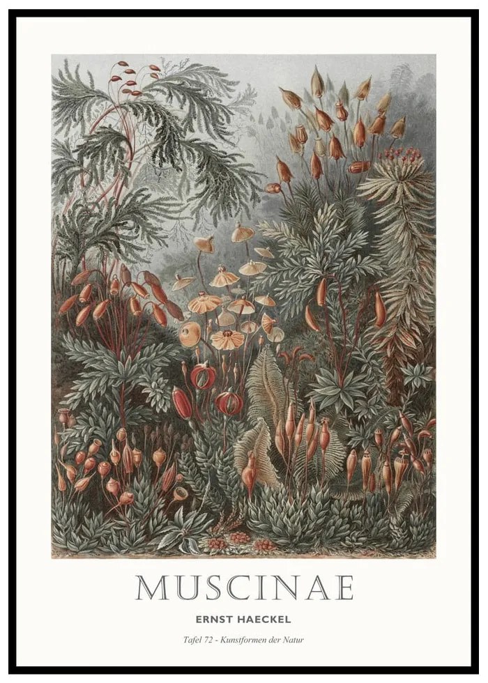 Tablou 51x71 cm Tafel 72 – Malerifabrikken