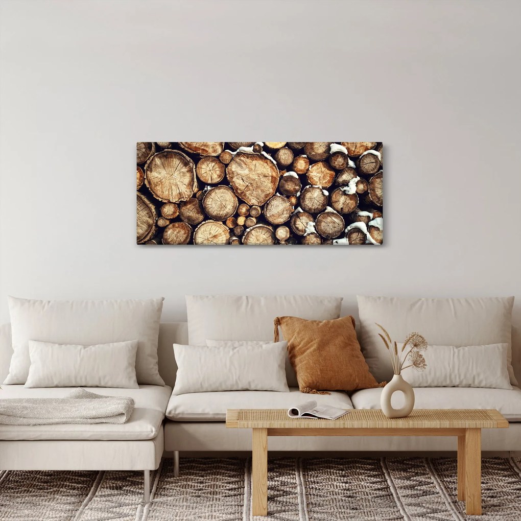 Tablou - Lemn în zăpadă (120x50 cm)