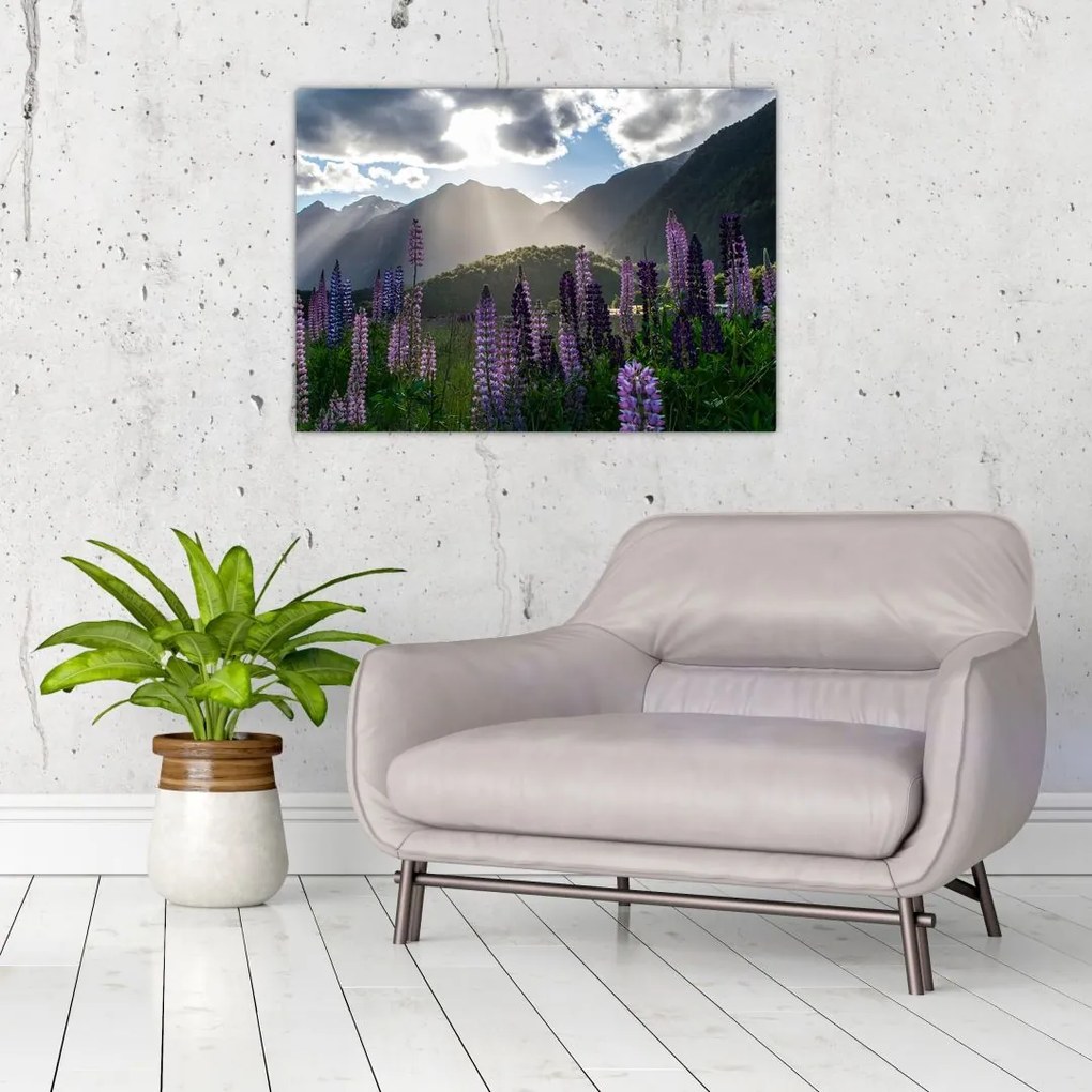 Tablou - scenariu cu flori de Lupin (70x50 cm)