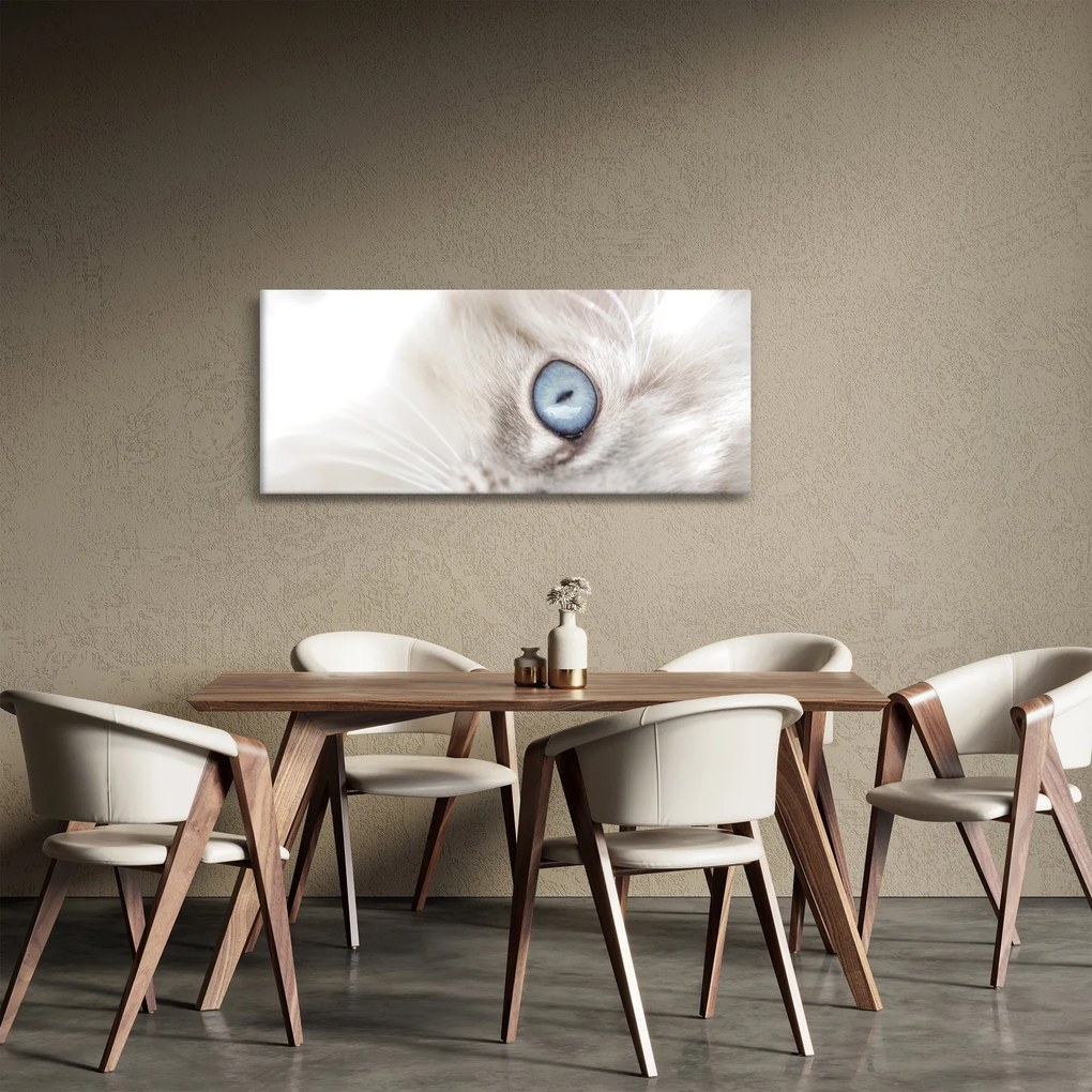Tablou - Pisica cu ochi albaștri (120x50 cm)