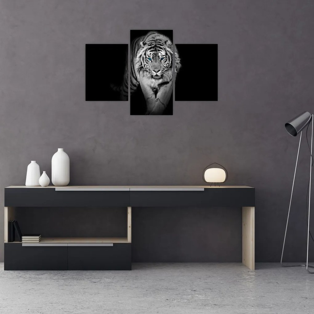 Tablou - Tigru cu ochi albaștri (90x60 cm)