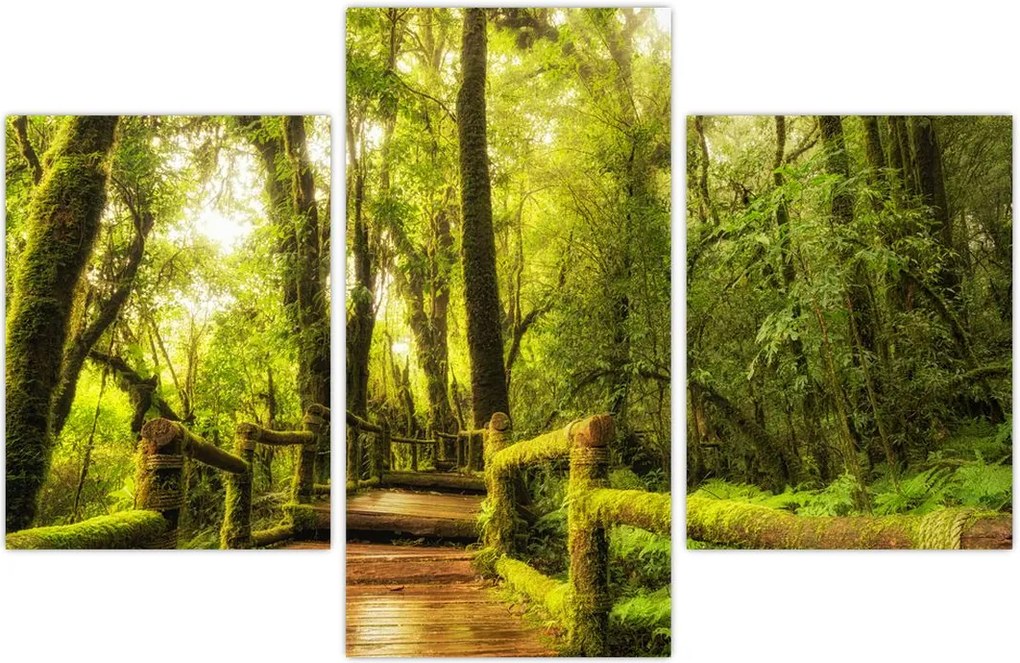 Tablou junglei cu mușchi (90x60 cm)