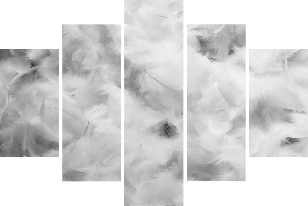 Tablou - Nori de pene (150x105 cm)