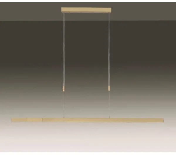 Lustră LED dimabilă pe cablu Paul Neuhaus 2568-60 ADRIANA LED/14W/230V alămie