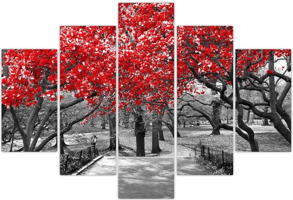 Tablou - Copaci roșii, Central Park, New York (150x105 cm)