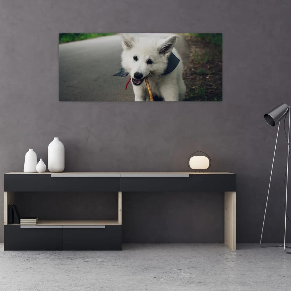 Tablou cu câinele alb (120x50 cm), în 40 de alte dimensiuni noi