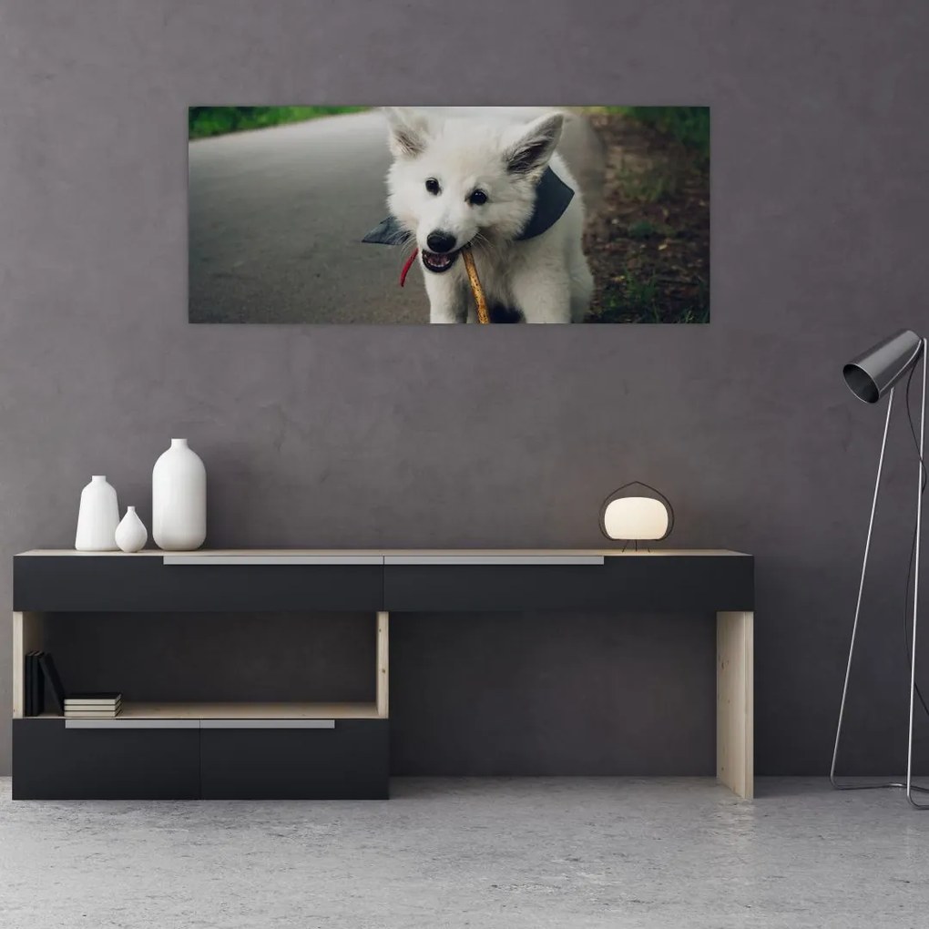 Tablou cu câinele alb (120x50 cm)