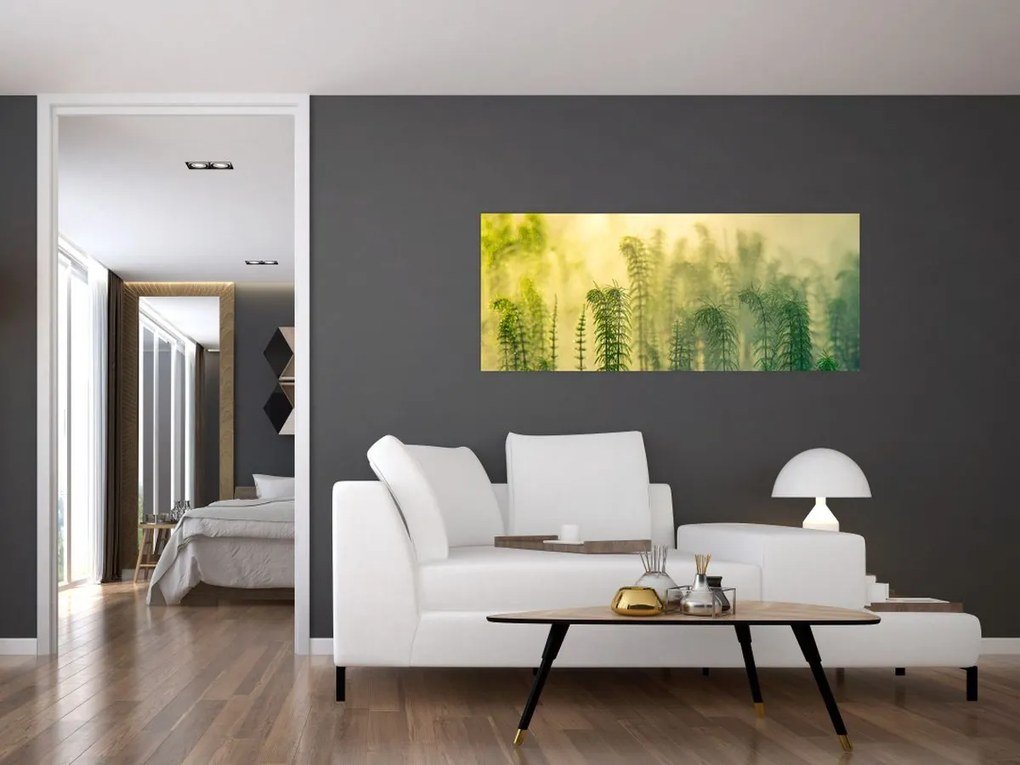 Tablou - Detaliu de primăvară natura cețoasă (120x50 cm)