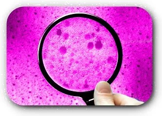 Saltea antibacteriana LATEX 24 cm 180 x 200 cm Protectie saltea: INCLUSIV protectie saltea