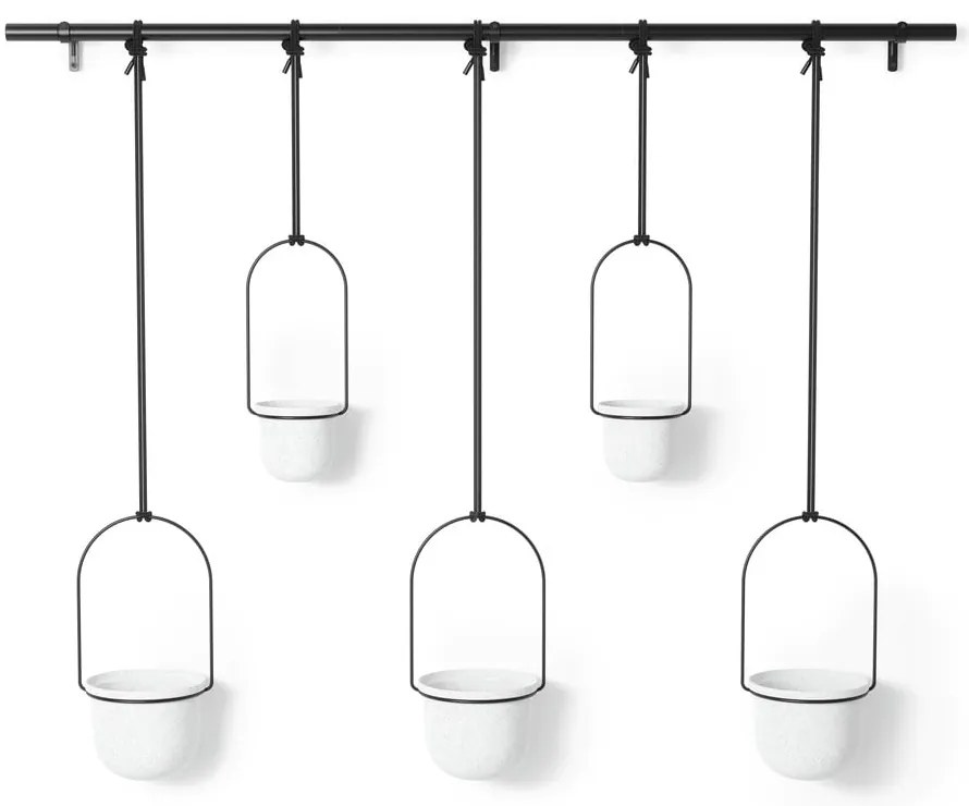 Ghivece decorative 5 buc. din plastic pentru ierburi aromatice/de agățat / de perete ø 7,5 cm Triflora – Umbra