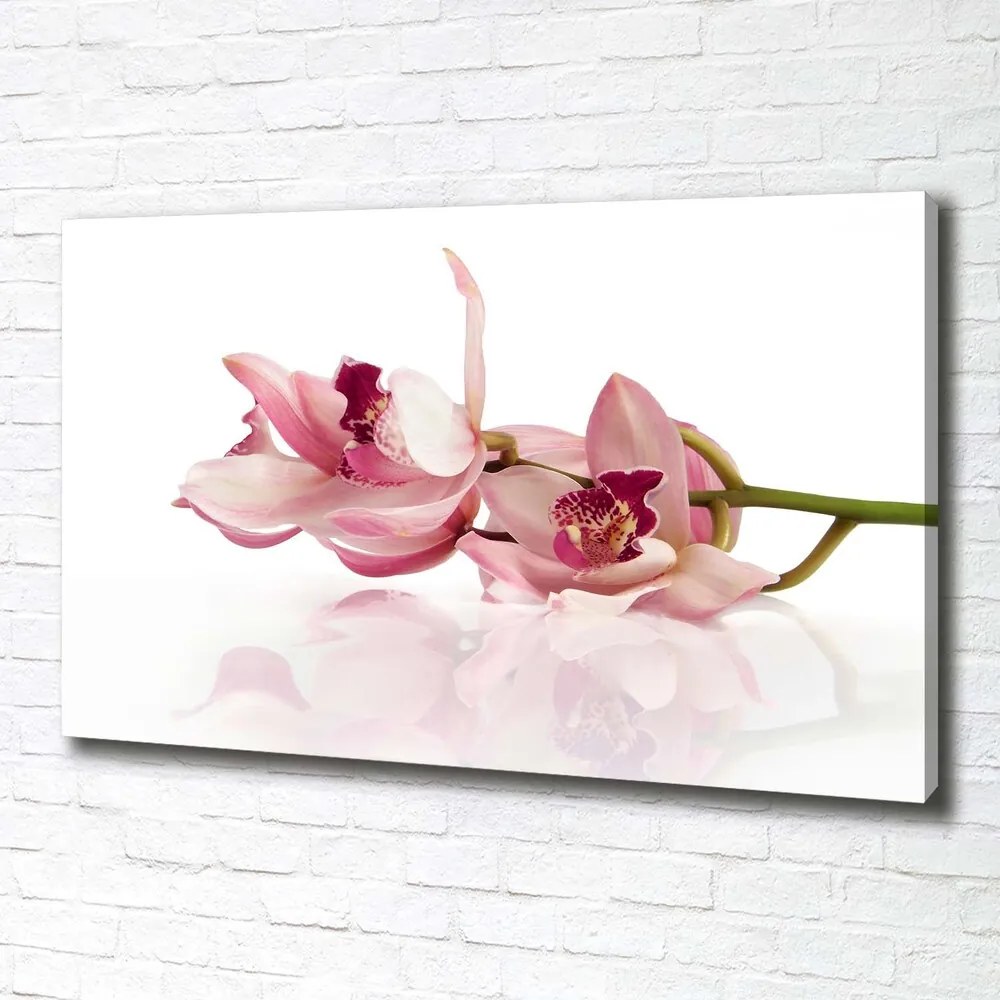 Print pe canvas Orhidee