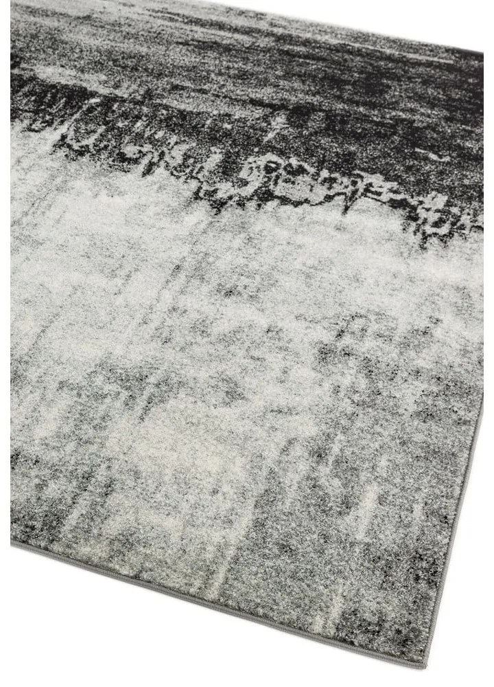 Covor gri 290x200 cm Nova - Asiatic Carpets