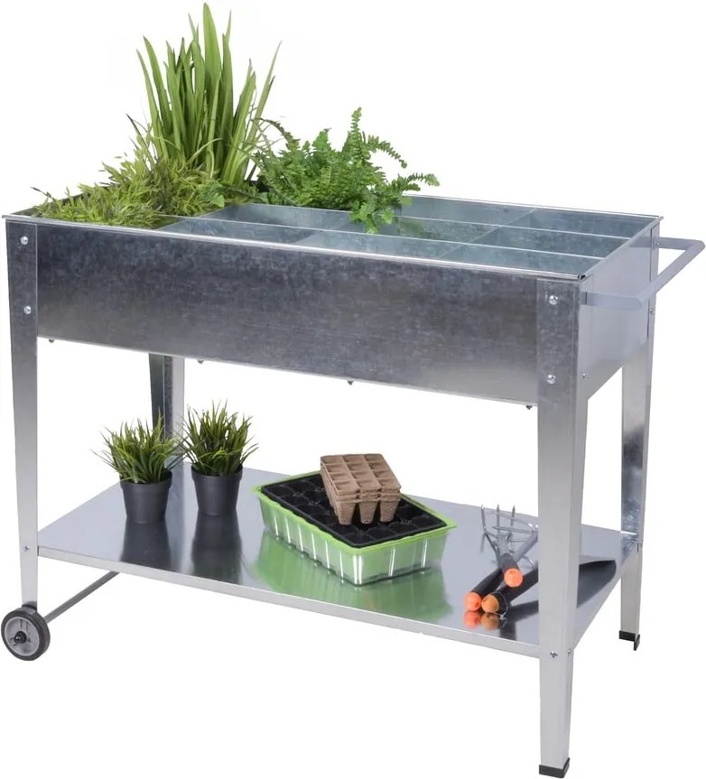 Pat ridicat de plante Mariegold – Garden Pleasure