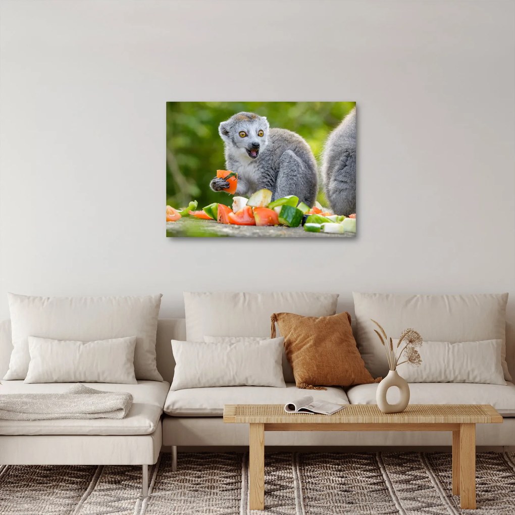Tablou cu lemur (70x50 cm)