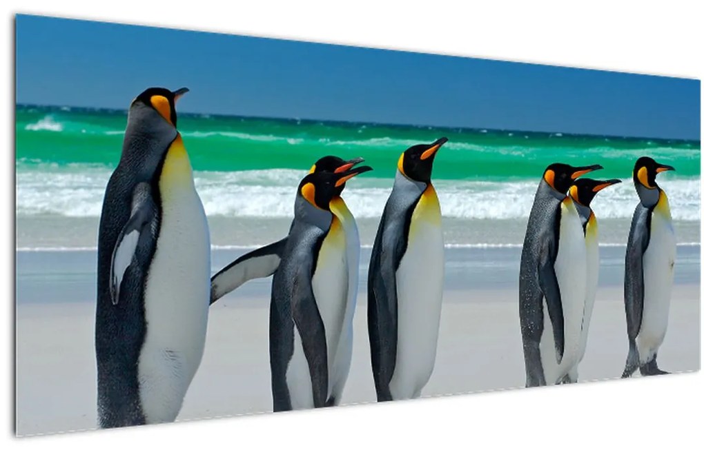 Tablou - Grup de pinguini regali (120x50 cm)