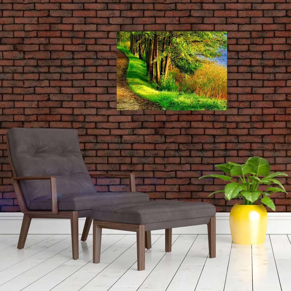 Tablou pe sticlă - poteci pe malul apei (70x50 cm)