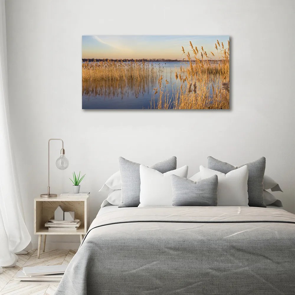 Tablou canvas Apă stuf