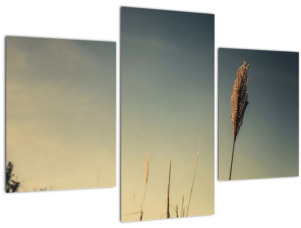 Tablou - Iarba (90x60 cm)