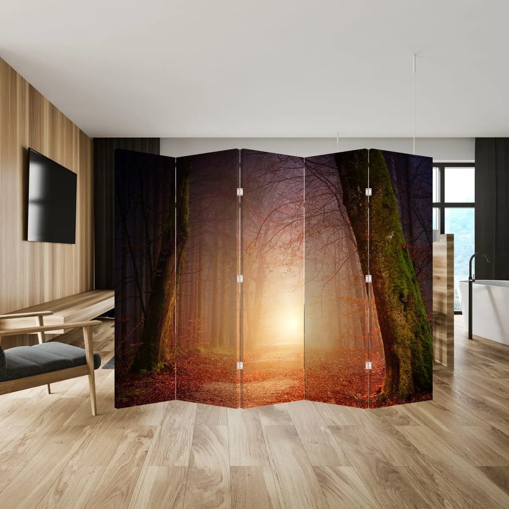 Paravan - pădurea toamna în ceață (210x170 cm)