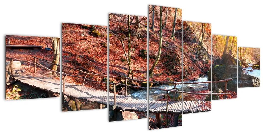 Tablouri - drum de toamnă prin pădure (210x100cm)