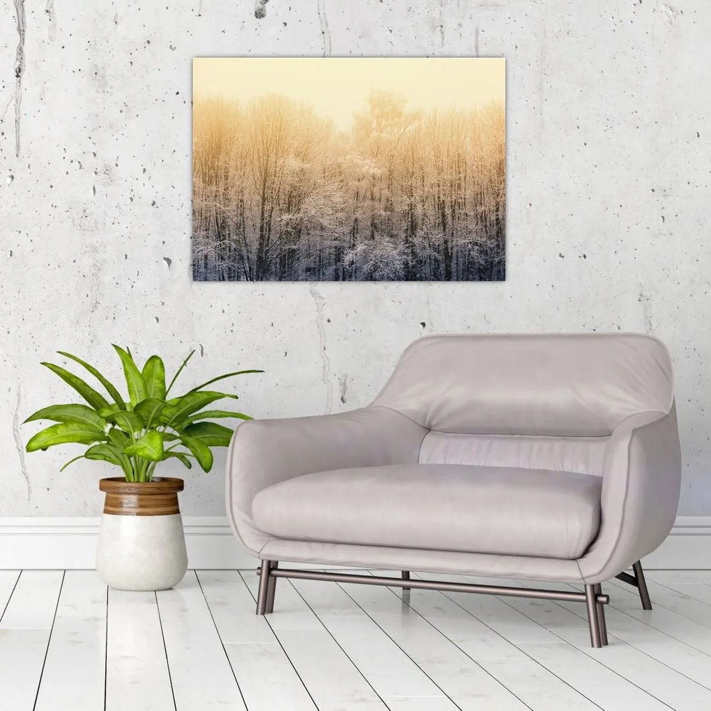 Tablou pe sticlă cu pădure geroasă (70x50 cm)