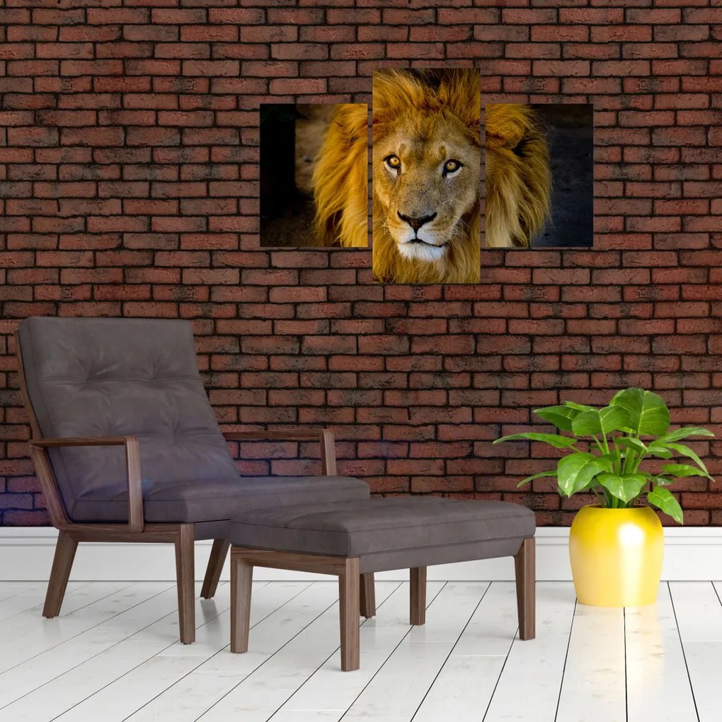Tablou - Portret de leu (90x60 cm)