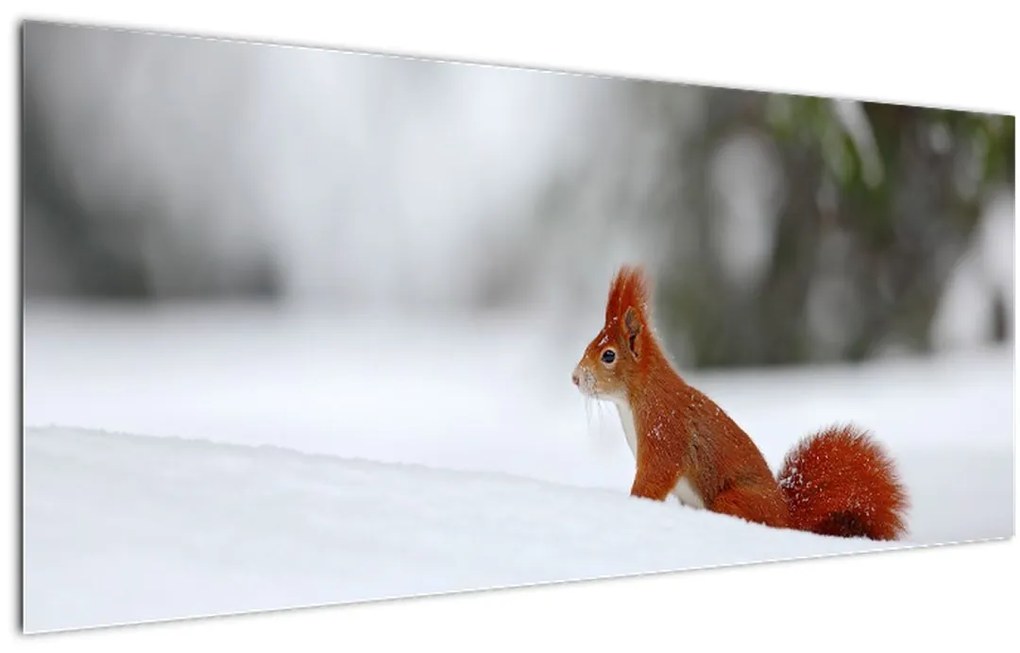 Tablou - Vevetițe (120x50 cm)