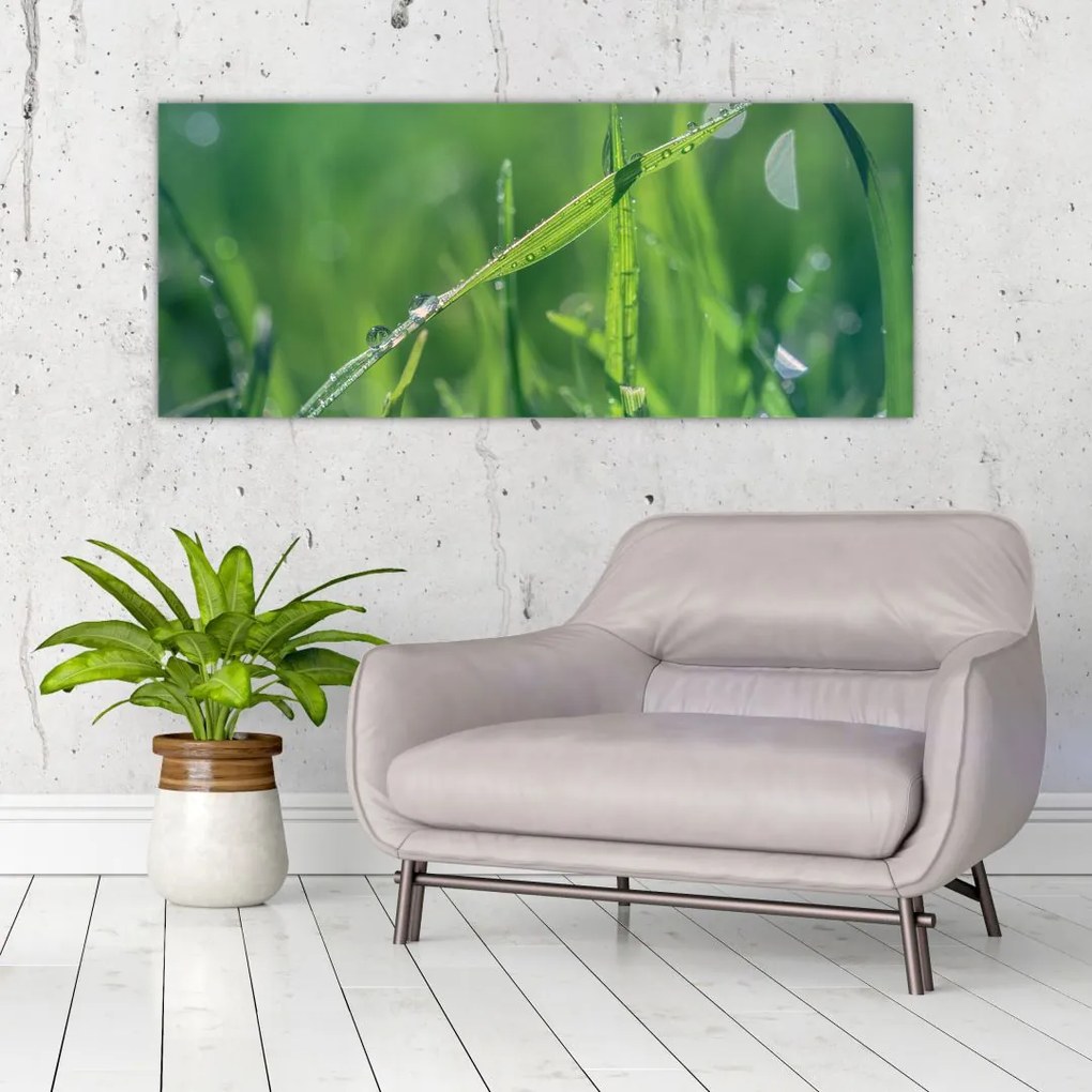 Tablou cu picături de rouă (120x50 cm)