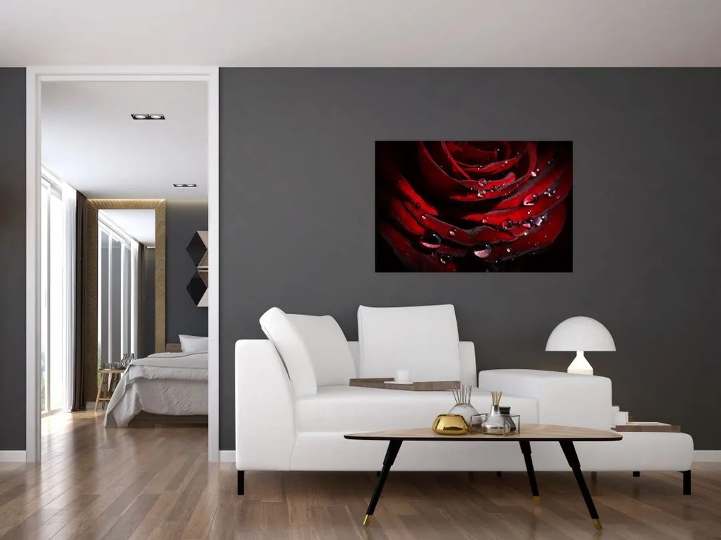 Tablou - Trandafir (90x60 cm)