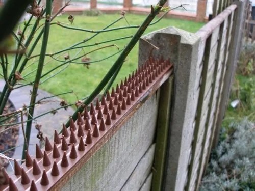 Set de 4 bucăți de țepușe pentru păsări, plasticgri , 50 x 4,5 cm