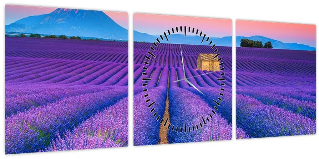 Tablou - Câmp de levănțica (cu ceas) (90x30 cm)