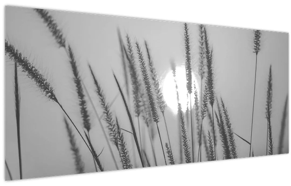 Tablou - Pajiște la apus (120x50 cm)