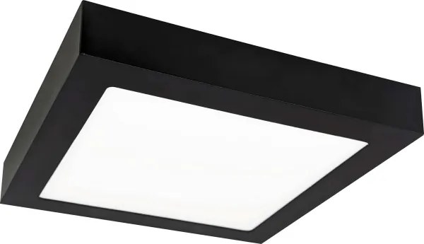 Plafonieră LED FENIX LED/12W/230V 2800K 17 cm