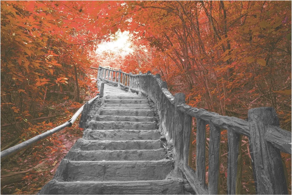 Tablou - Scări în natură, portocaliu (90x60 cm)