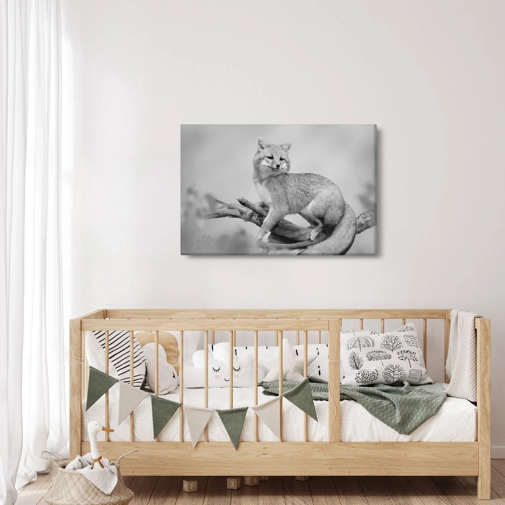 Tablou - Vulpe gri (90x60 cm)
