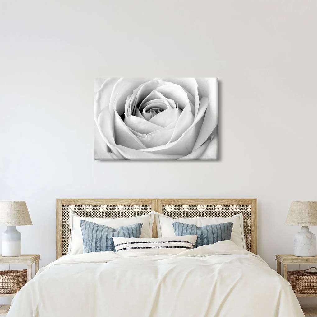 Tablou - Detailu de floare de trandafir (90x60 cm)